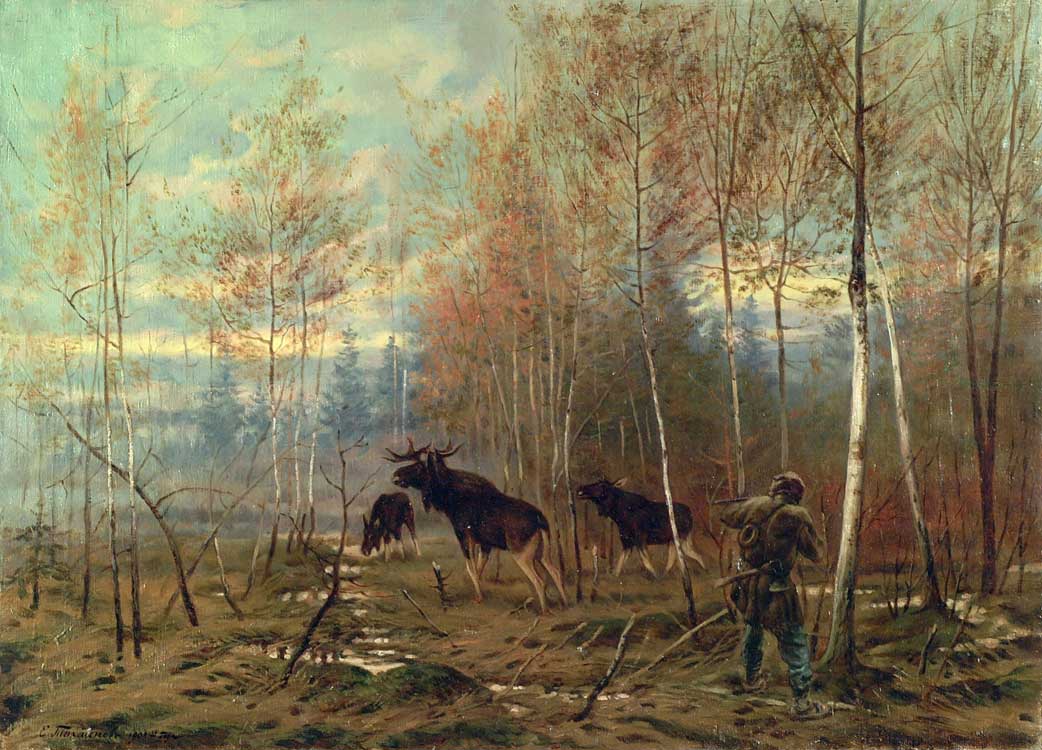 http://www.igorminakov.ru/images/competitions/0/tihmenev10.jpg