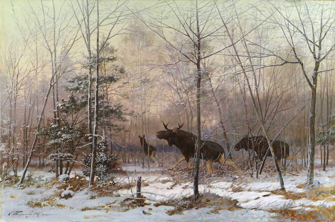 http://www.igorminakov.ru/images/competitions/0/tihmenev7.jpg